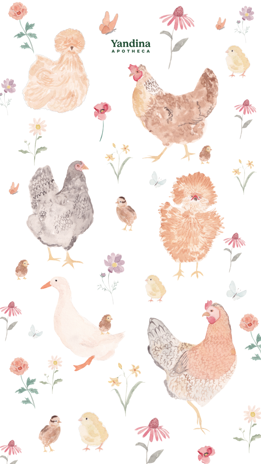 Organic Cotton Chicken Tea Towel
